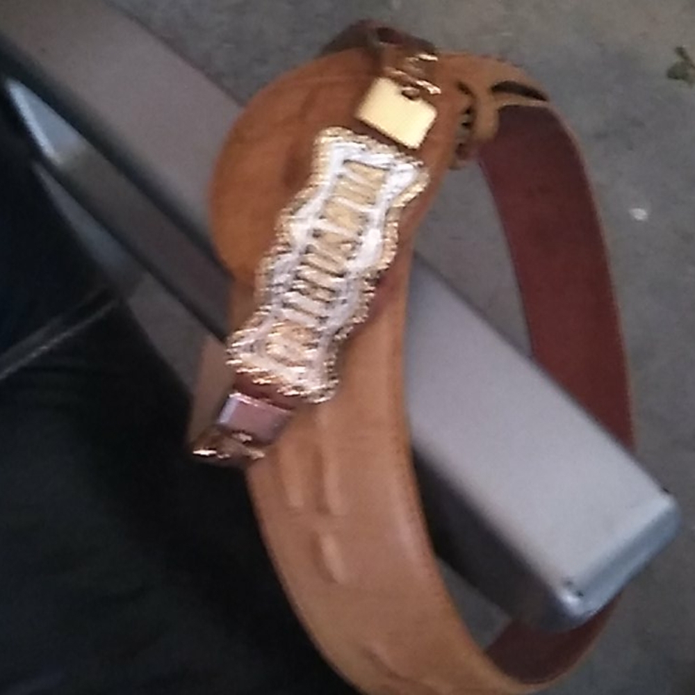Belt